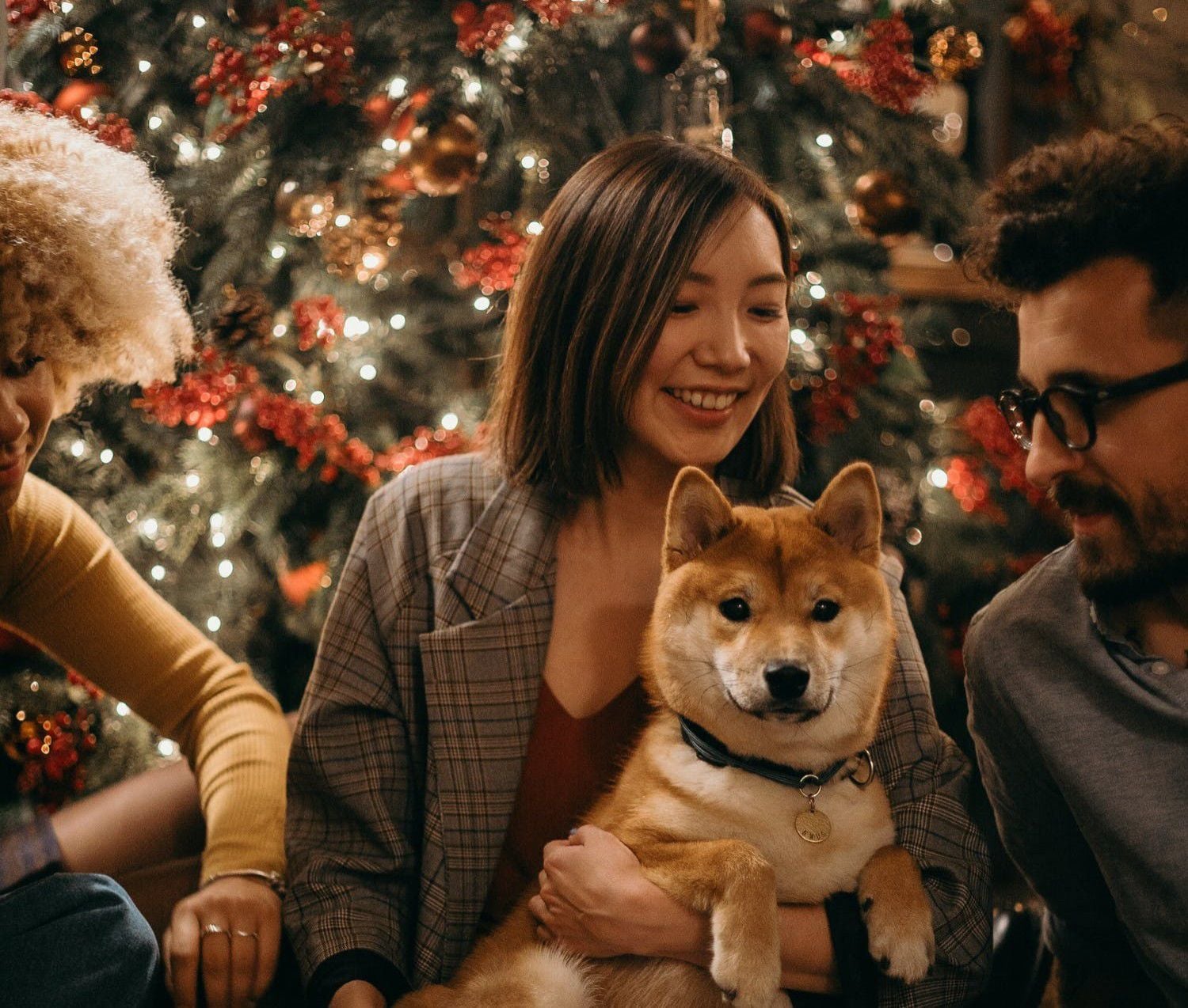 sending dog dna to 23andme