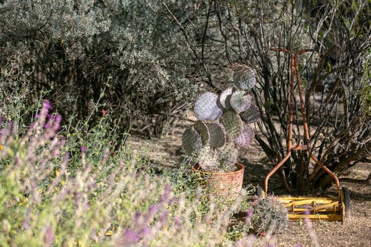 Baron home landscape