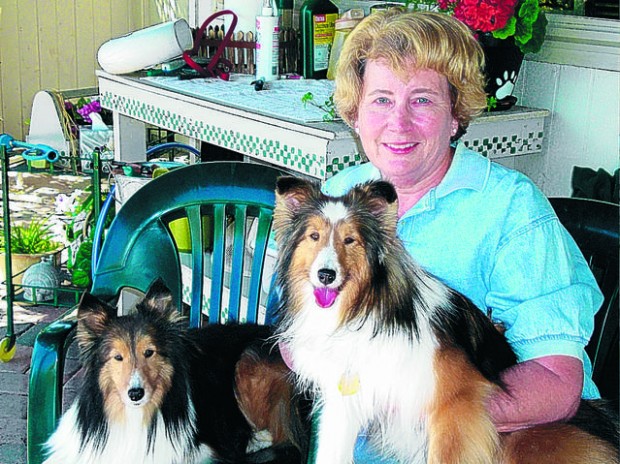 Reading program using dogs at school a winning formula  