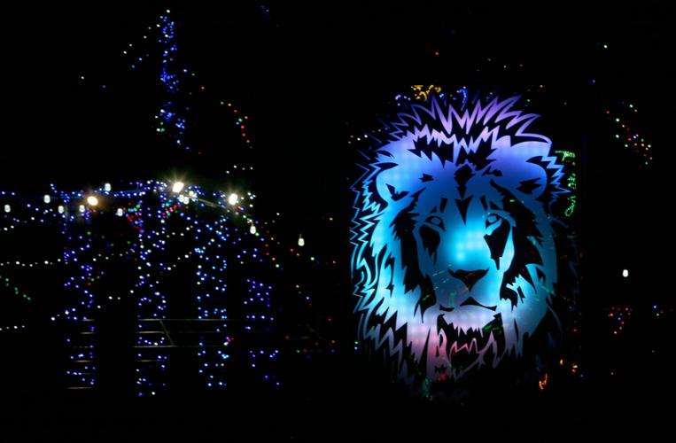 Zoo Lights
