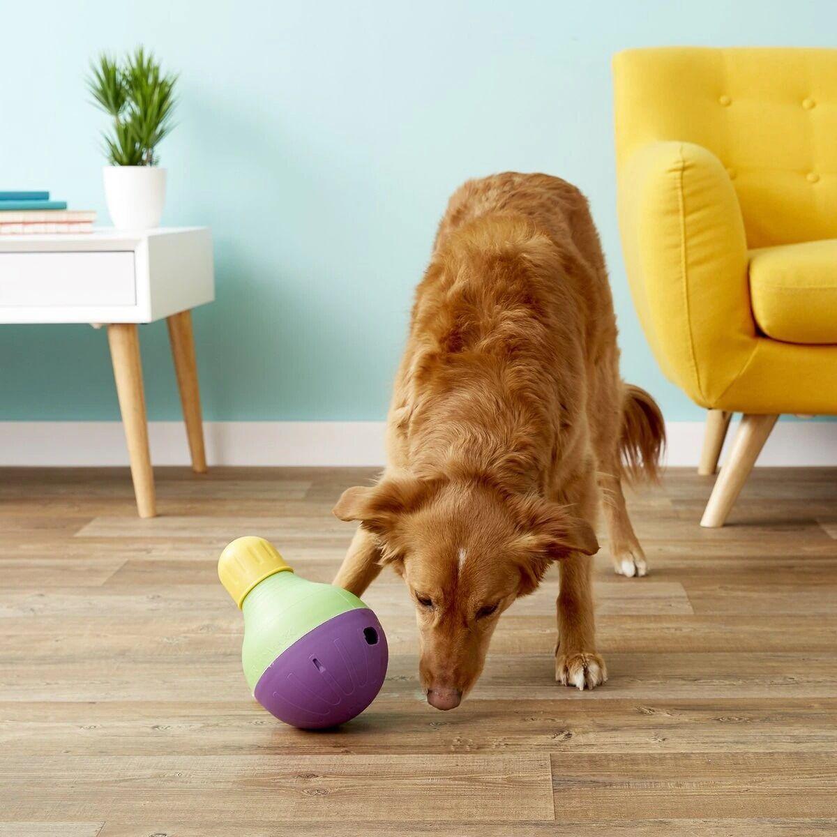 Crazy, Anxious Dog? Here Are 5 Toys to Calm Him Down. - This Dogs Life