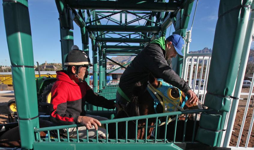 Rillito Park's new season