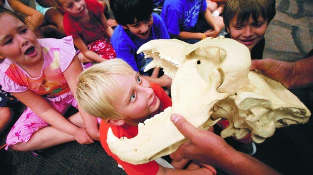 JCC's Camp 'J' program melds fun and learning on variety of subjects