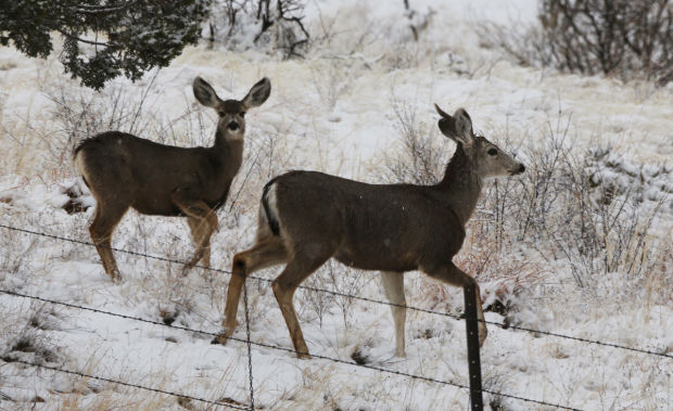 Snowfall around Tucson