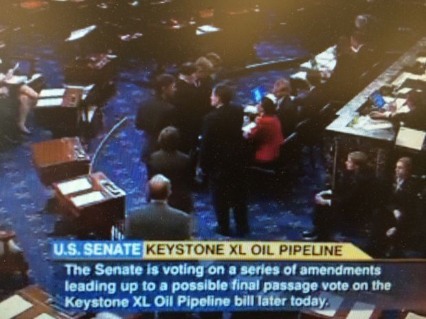 Steve Daines Senate