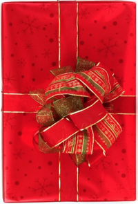 2017 gifts for Star readers