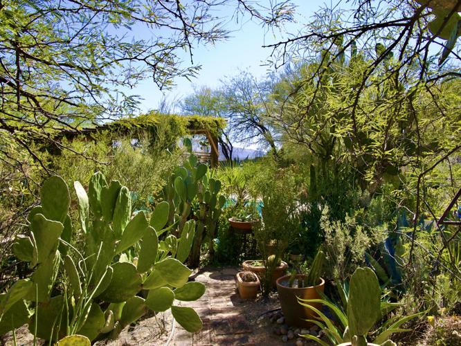 2022 home garden tour Gutowski garden