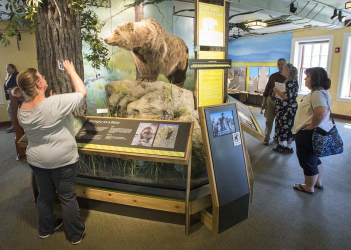 Yellowstone Visitor Center bear education.jpg