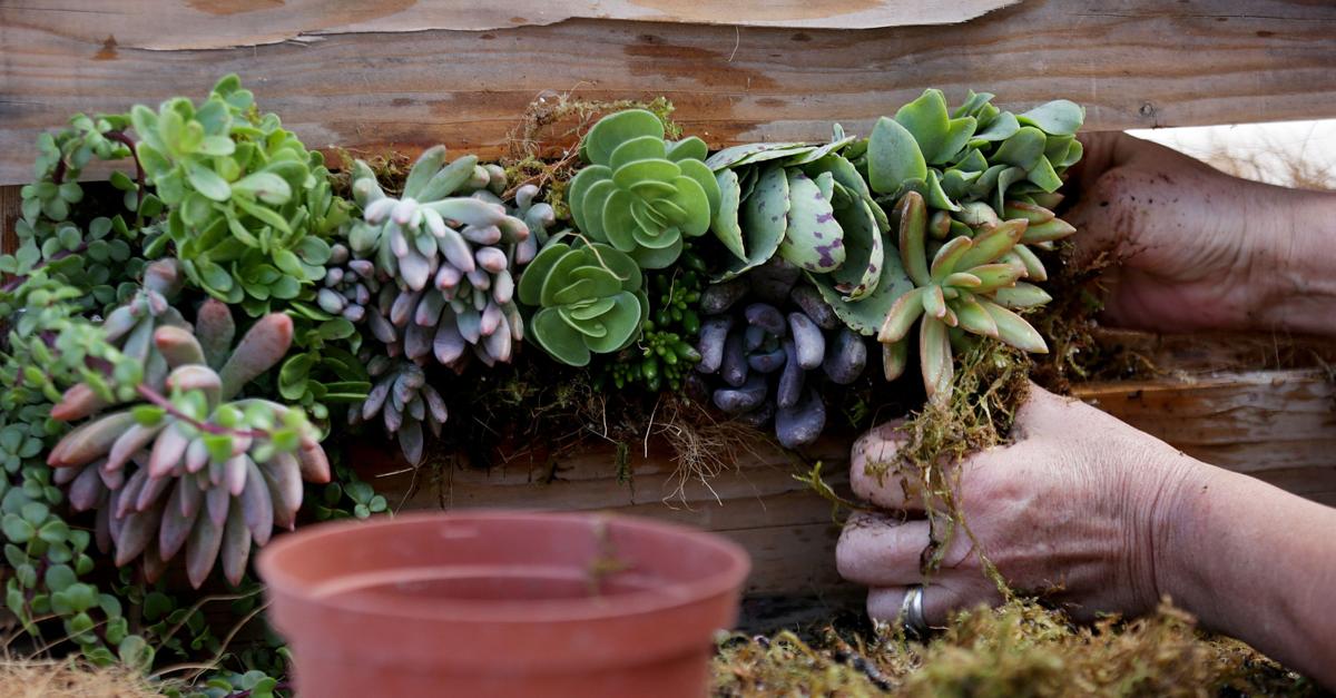 tiger lily peter pan costume Tiger Lily Dress, Peter Pan Costume  EasyCosplayCostumes