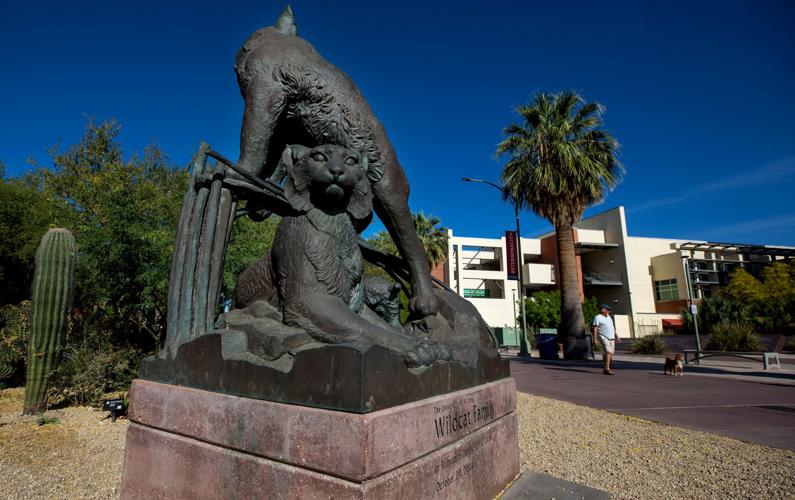 University of Arizona art walk: The Wildcat Family