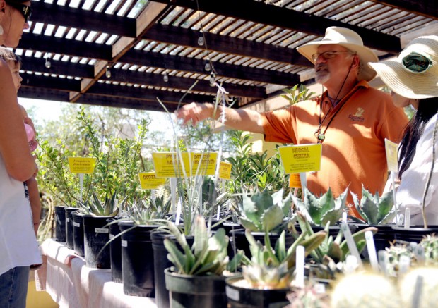 Weird plants draw big crowds   