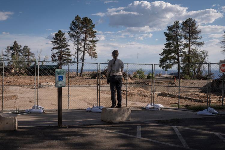 Grand Canyon shows its resilience a year after massive Dragon Bravo Fire