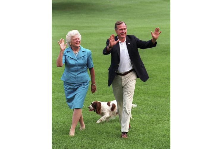 Election 2024 AP VoteCast Pet Owners