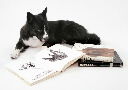 What is your favorite book about animals?