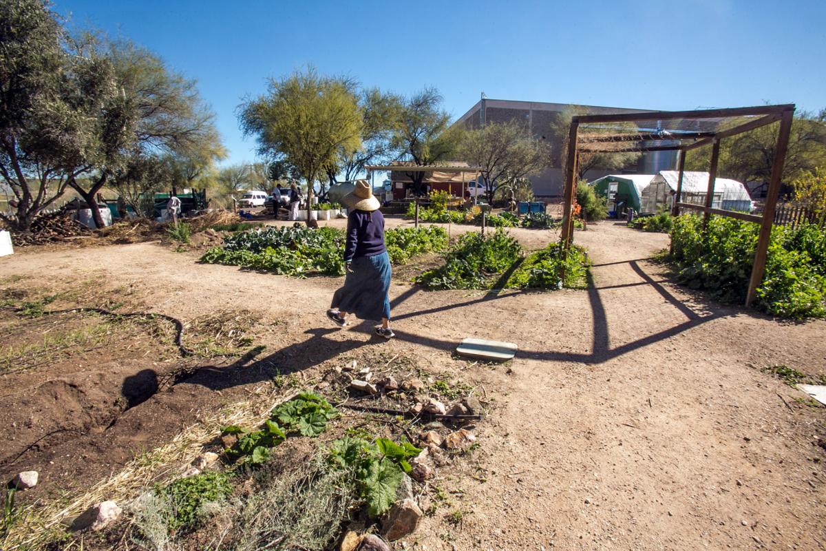 Tucson Experts Share Their Best Tips To Help New Gardeners Succeed