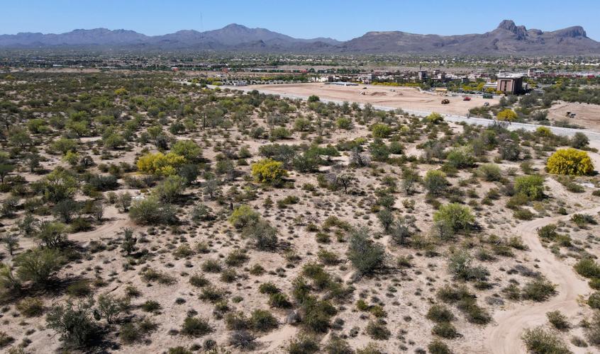 Build to rent housing community