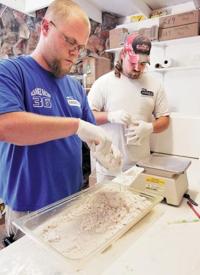 Beauty is in the eye of the bug holder  