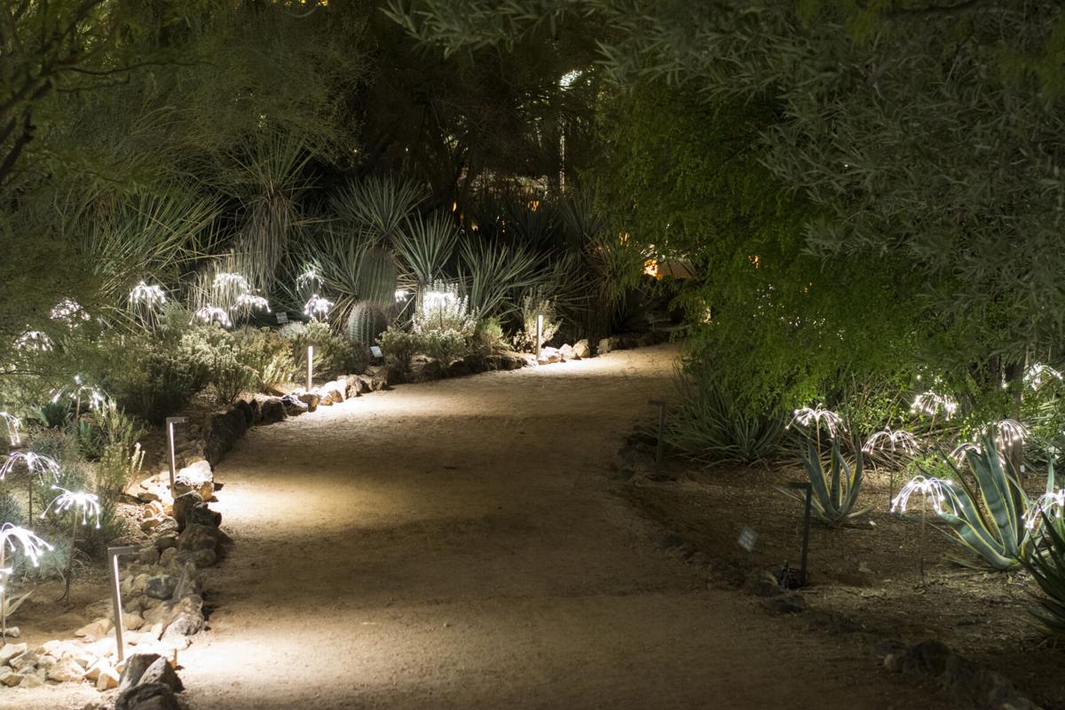 Lighted gravel pathway at night