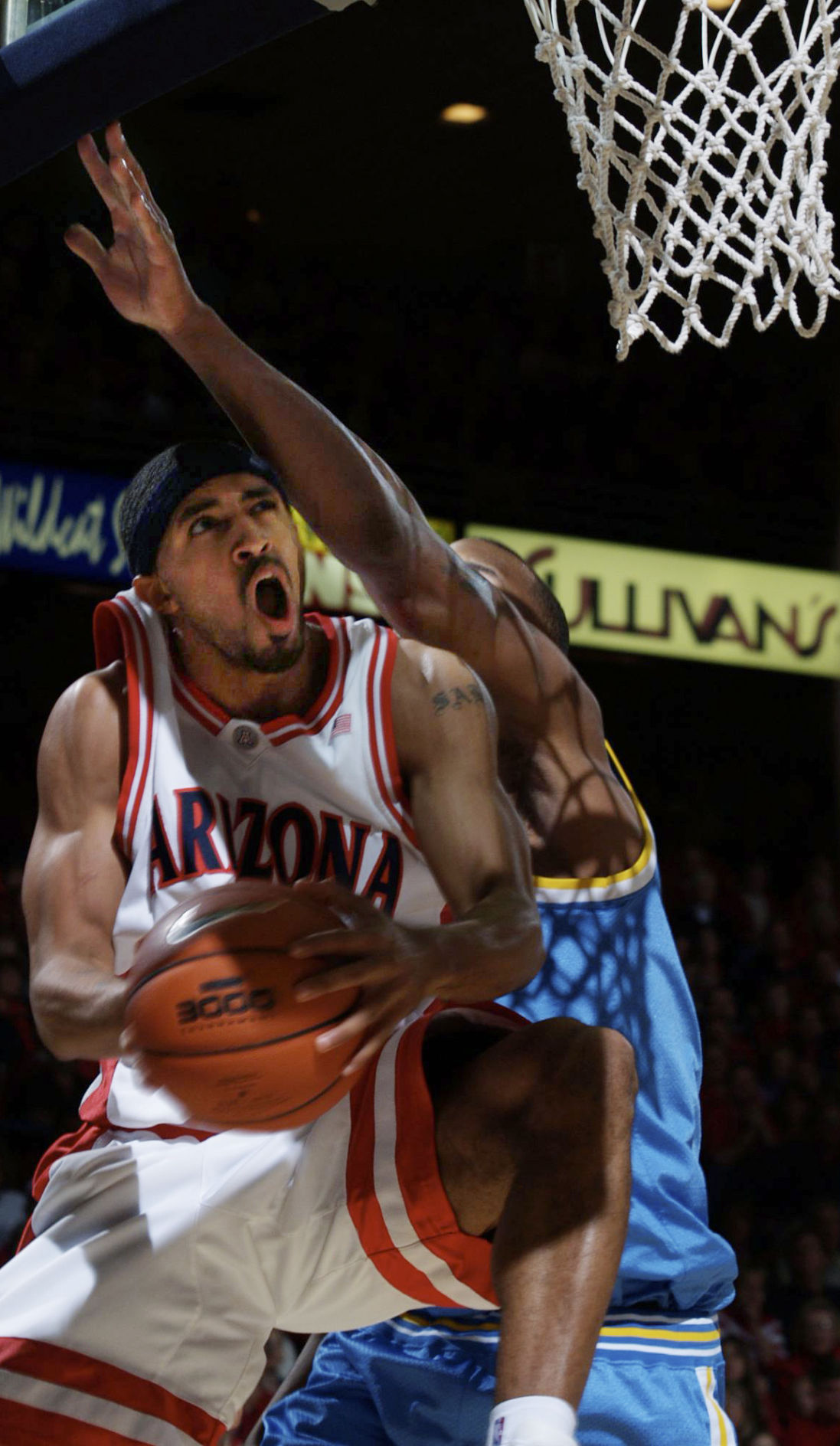 Salim Stoudamire