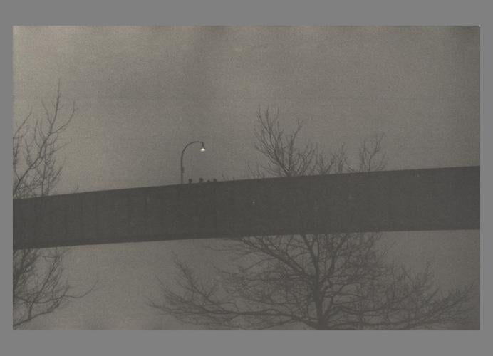 The Lives of Pictures at CCP