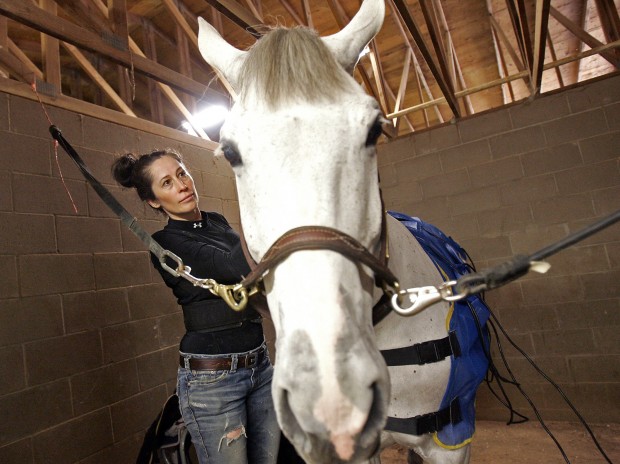 Horse event is fun for amateurs, pros   