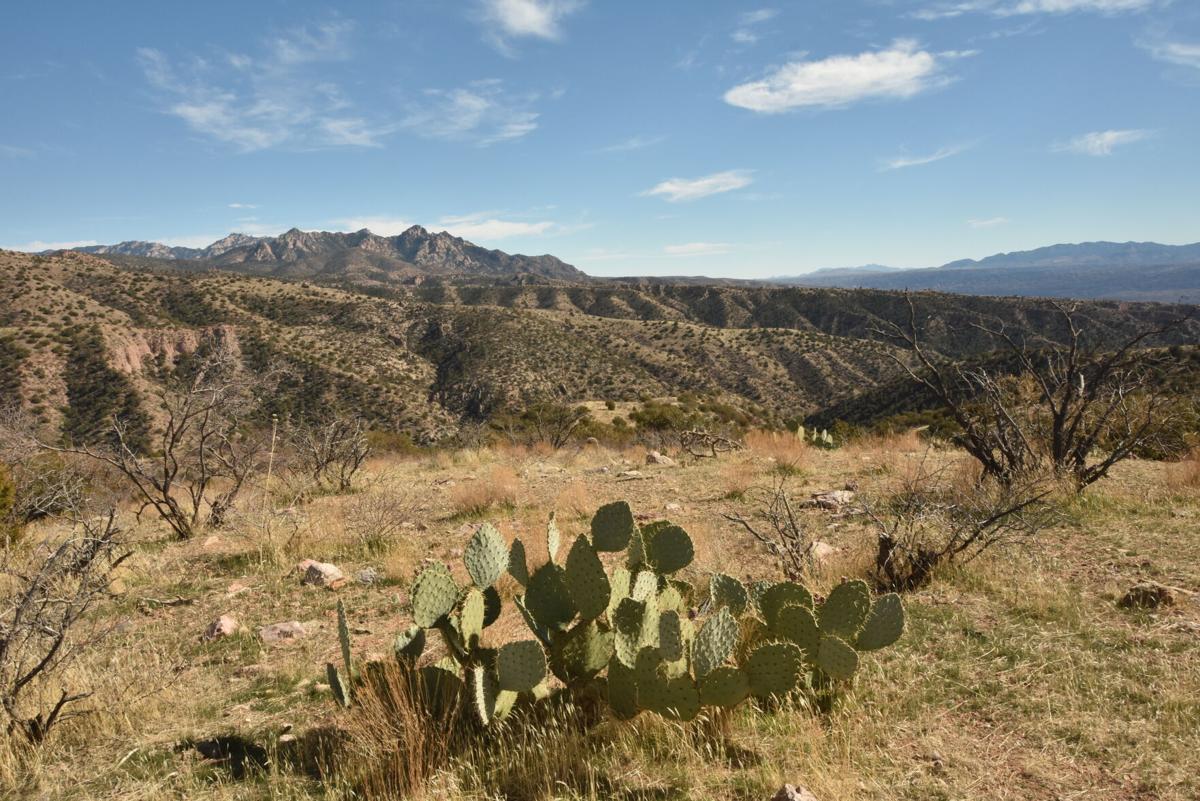 Ranchland near Aravaipa Canyon