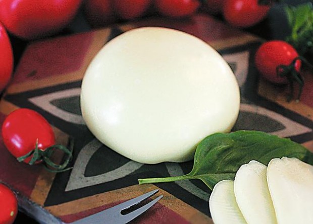 Homemade mozzarella  