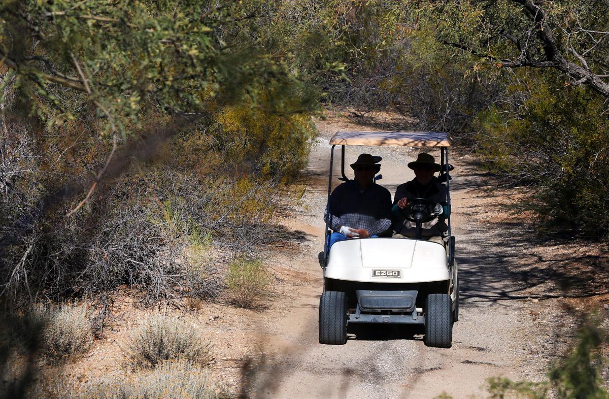 City golf operation on the critical list