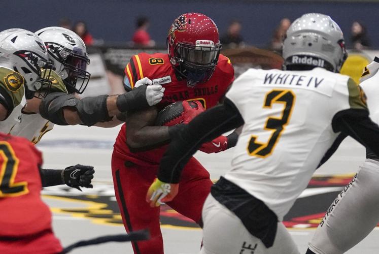 Mike Jones - Tucson Sugar Skulls