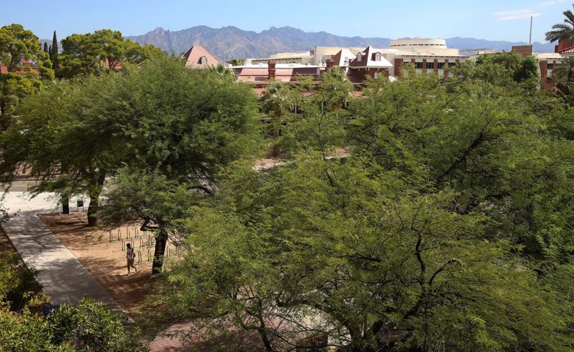 University of Arizona campus, 2016