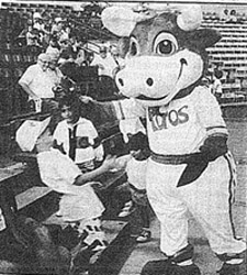 Tuffy the Toro was a dream job