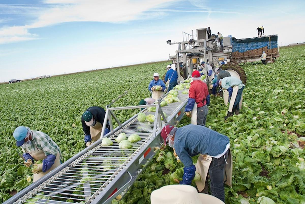 Farmworkers