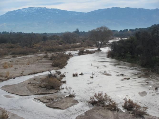 Tanque Verde Creek near Craycroft Road