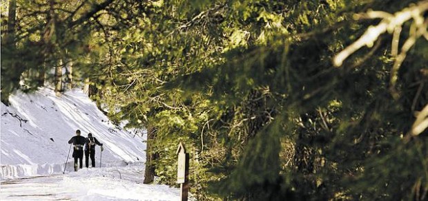 Winter: Howdy, powder  