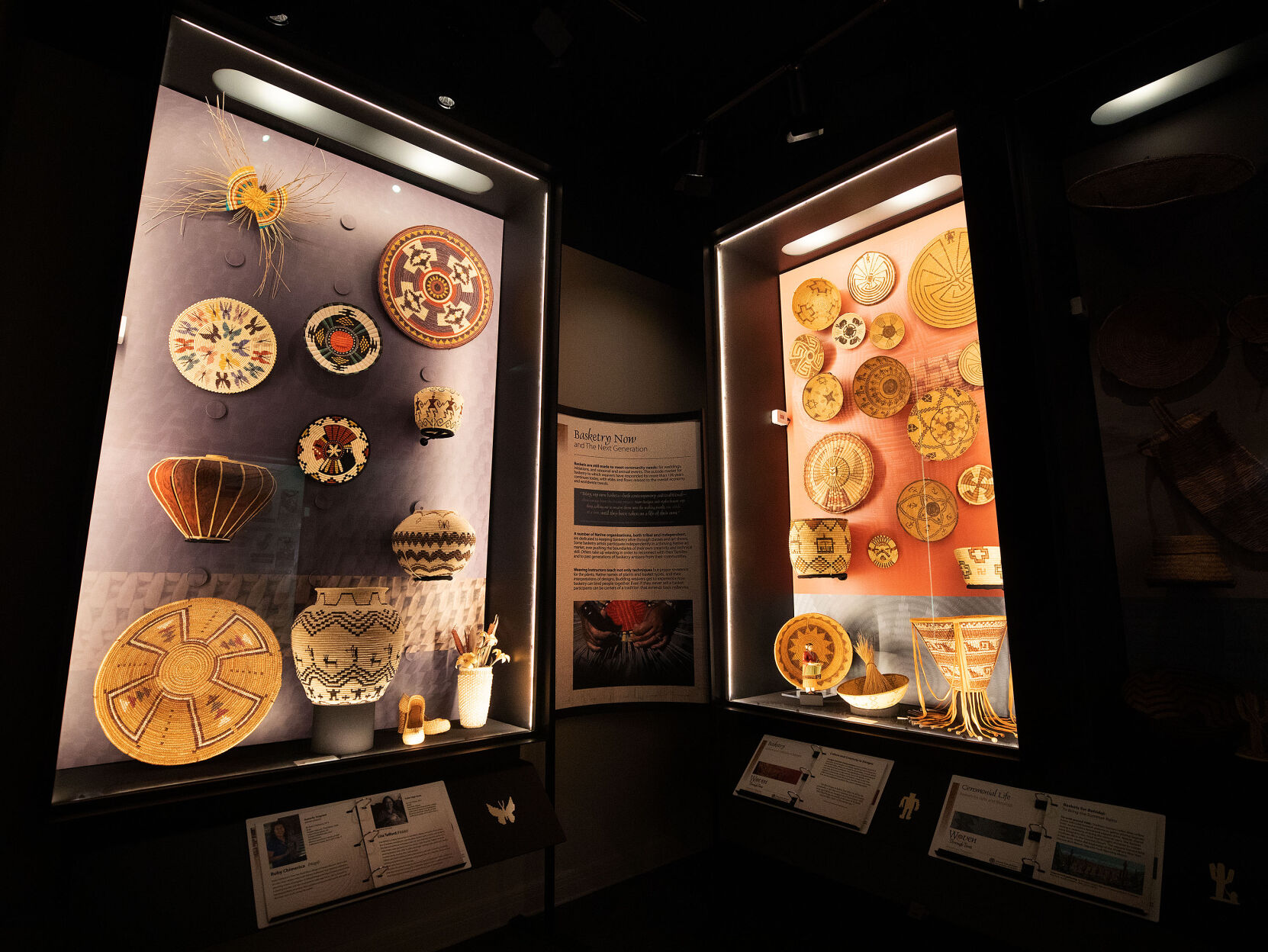 Arizona State Museum