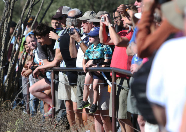 Arizona-Sonora Desert Museum