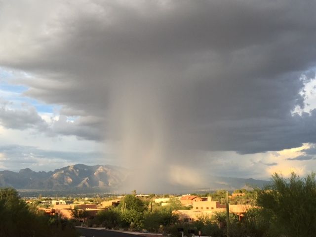 Monsoon photo contest