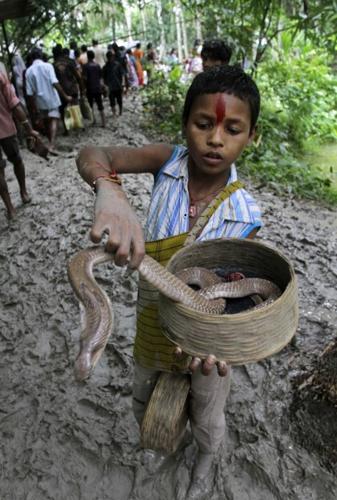 India Hindu Festival