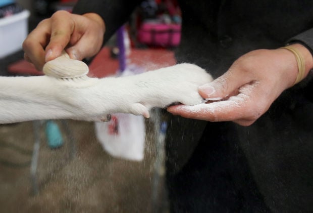 Jordan Confer and Lenny