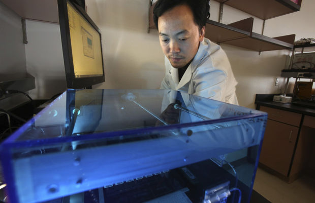 Acclaimed doctor in mind-body research joins University of Arizona