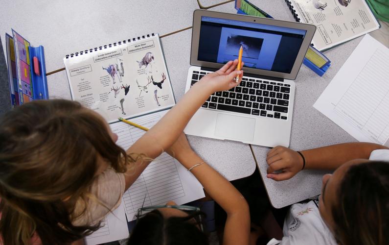 Wildlife camera grant