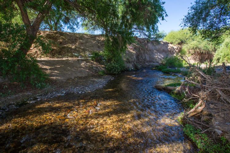 New Loop Trail Section