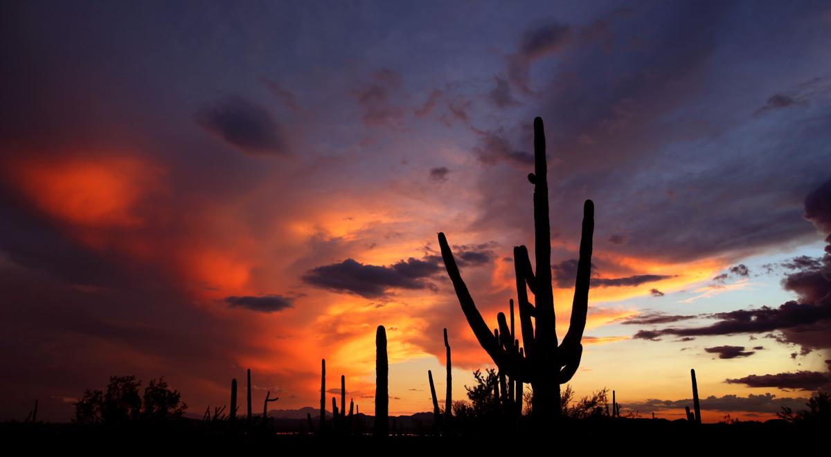 Tucson weather: 100-degree weather, sunny skies