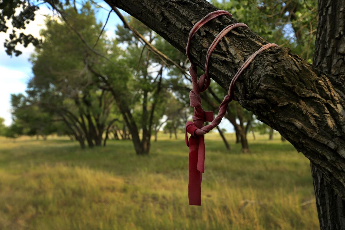 Northern Cheyenne woman promotes healing, justice in Sand Creek reckoning events