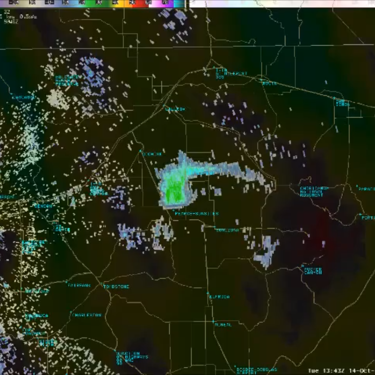 Big birds: Weather radar shows massive flock of cranes near