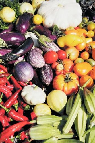 Growing appetite: Northwest-side farm can't keep up with demand for its produce  