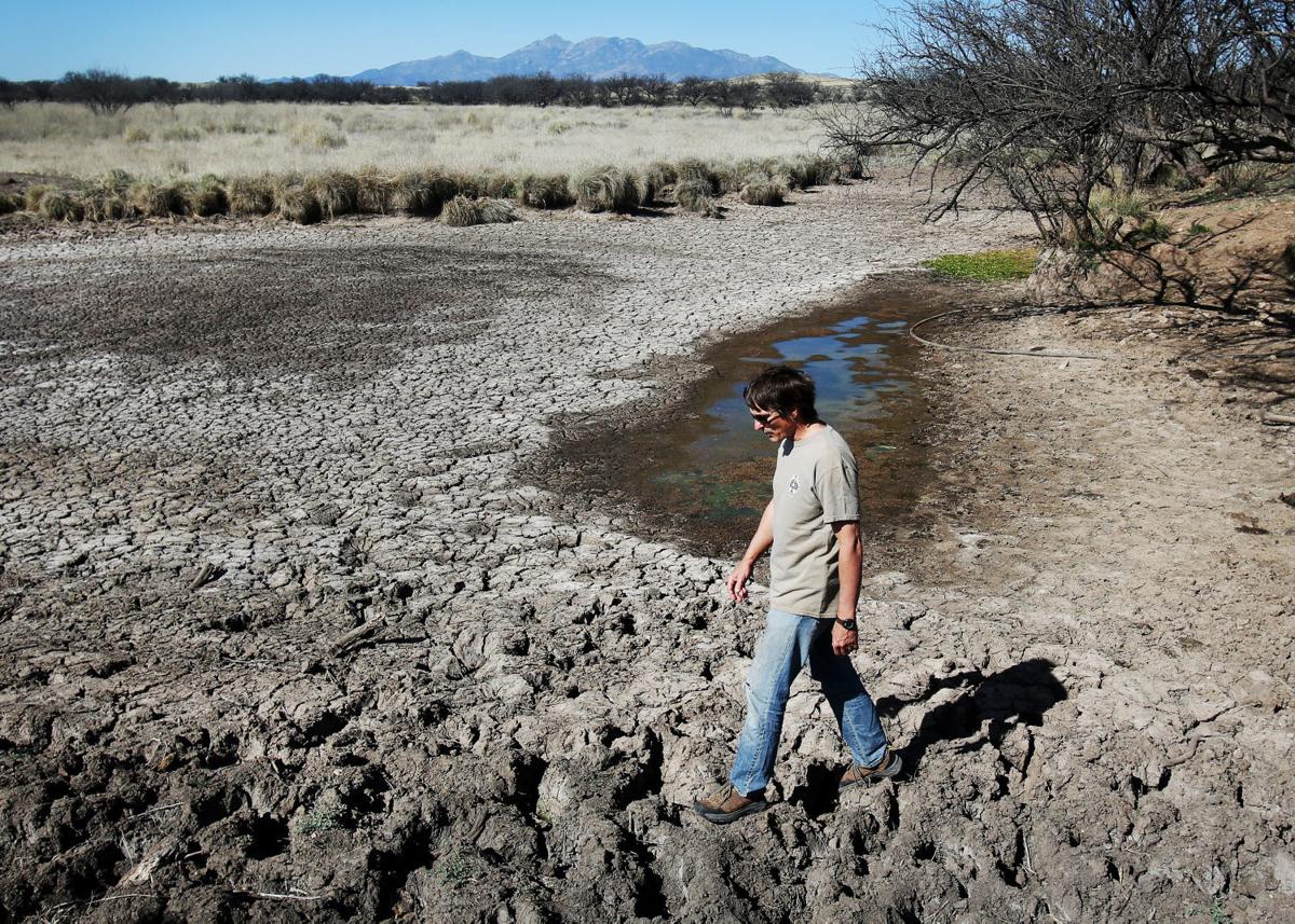 Las Cienegas National Conservation Area