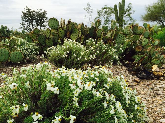 White wildflower bouquets