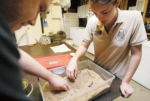 Net posts tell of torturing, killing javelina — for fun  