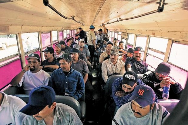 Mexican drug lords using migrants to divert patrols  